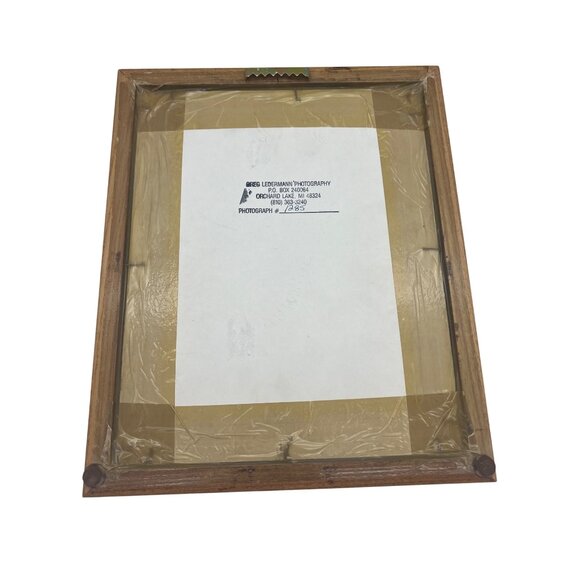 Signed Greg Ledermann Carolina Chickadee Photograph 7×5 Framed Bird Nature Art - Picture 3 of 5